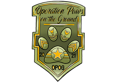 Lift Shift Foundation